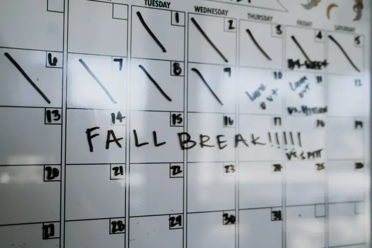 Planner comparing production plan documents on a whiteboard